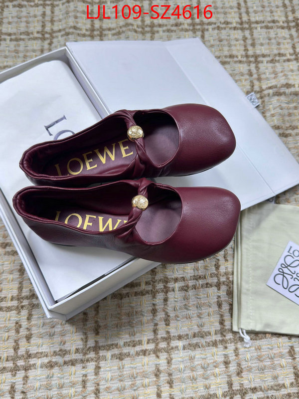 Women Shoes-Loewe best ID: SZ4616 $: 109USD