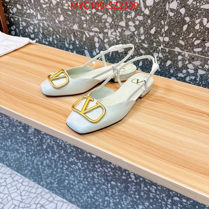 Women Shoes-Valentino the best affordable ID: SZ2309 $: 109USD