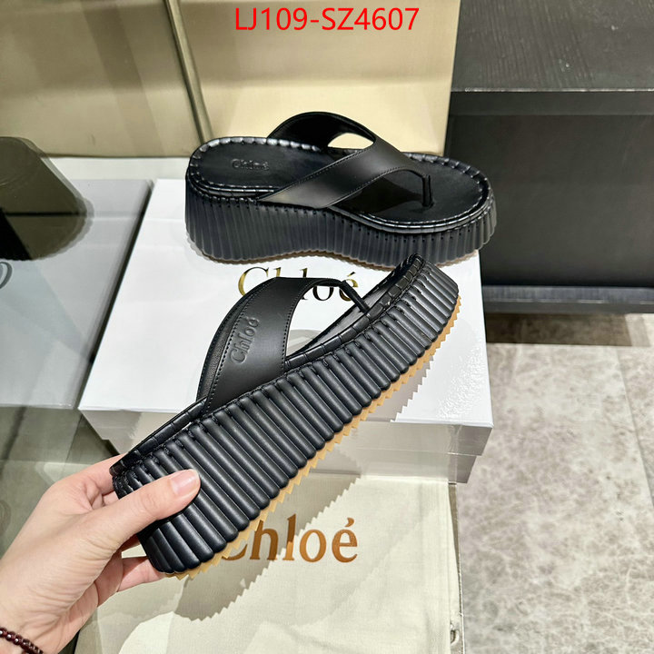 Women Shoes-Chloe the most popular ID: SZ4607 $: 109USD