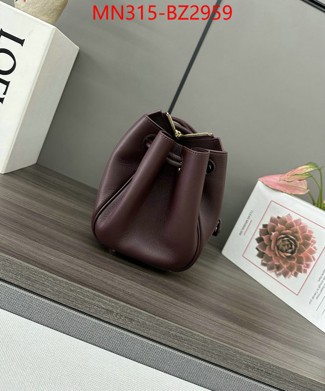 Loewe Bags(TOP)-Handbag- fashion designer ID: BZ2959 $: 315USD,