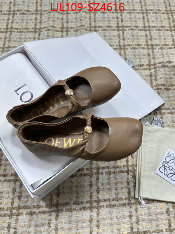 Women Shoes-Loewe best ID: SZ4616 $: 109USD