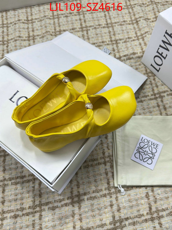 Women Shoes-Loewe best ID: SZ4616 $: 109USD