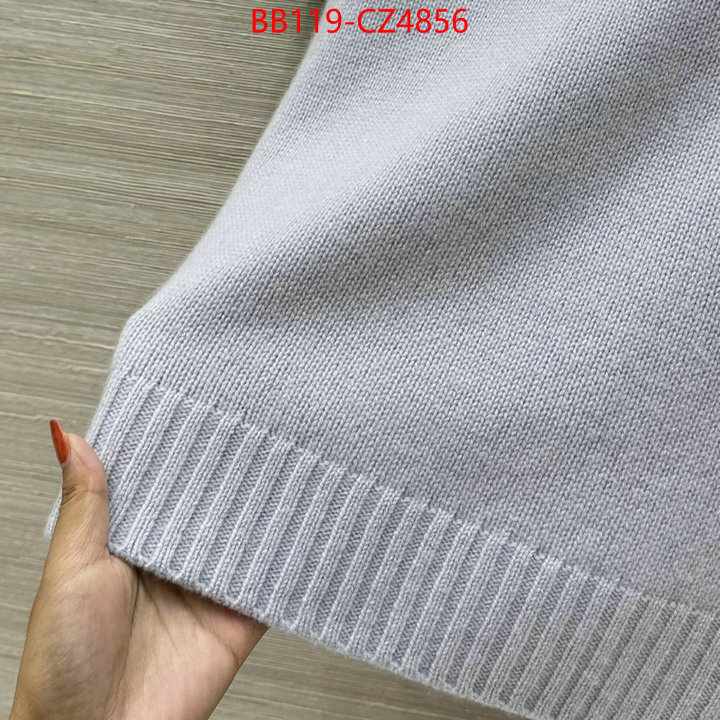 Clothing-Dior shop now ID: CZ4856 $: 119USD