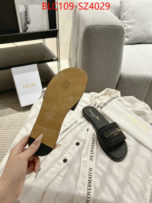 Women Shoes-Dior where can i buy the best quality ID: SZ4029 $: 109USD