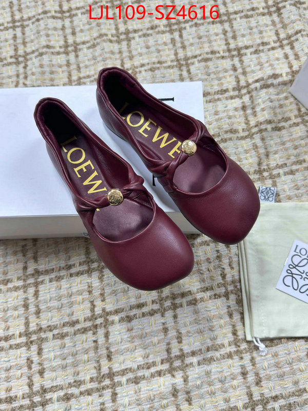 Women Shoes-Loewe best ID: SZ4616 $: 109USD