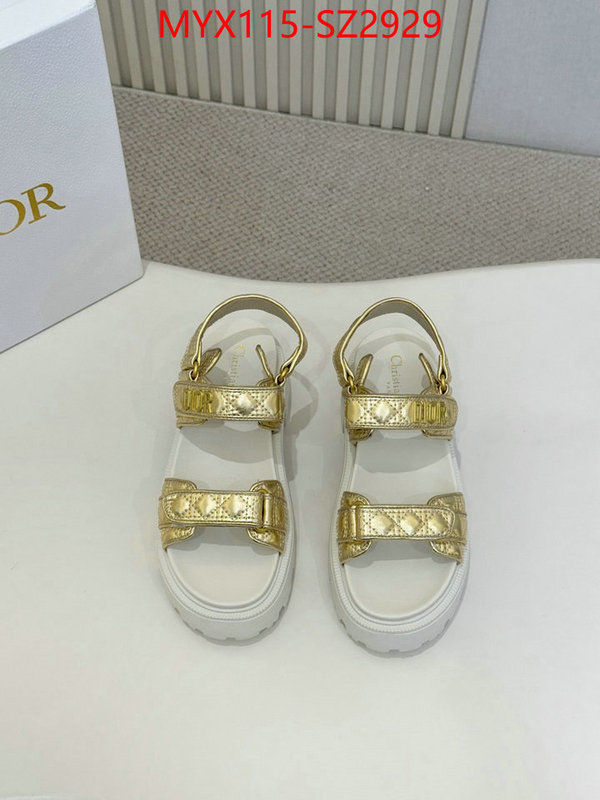 Women Shoes-Dior new 2024 ID: SZ2929 $: 115USD