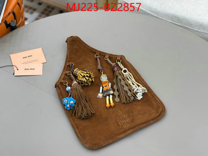 Miu Miu Bags(TOP)-Handbag- 7 star quality designer replica ID: BZ2857 $: 225USD,