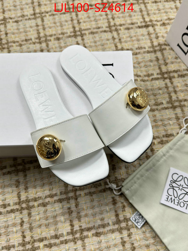 Women Shoes-Loewe first top ID: SZ4614 $: 100USD