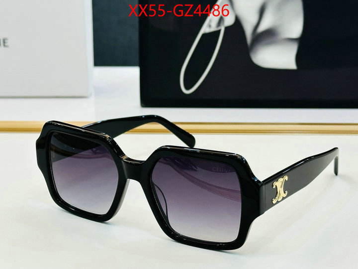 Glasses-CELINE perfect ID: GZ4486 $: 55USD