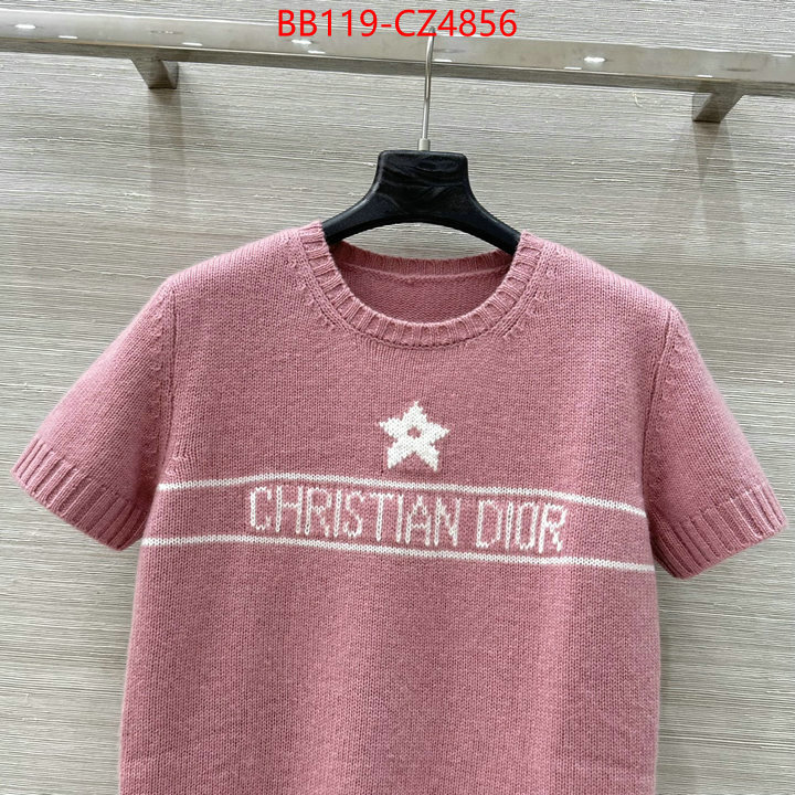 Clothing-Dior shop now ID: CZ4856 $: 119USD
