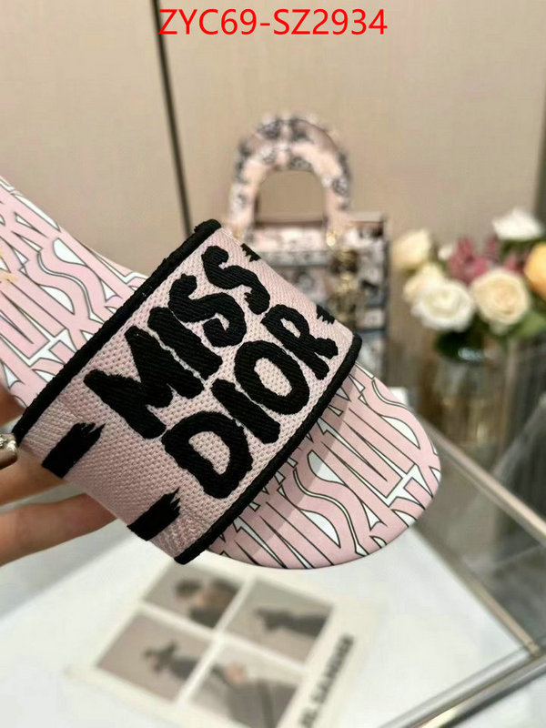 Women Shoes-Dior wholesale imitation designer replicas ID: SZ2934 $: 69USD