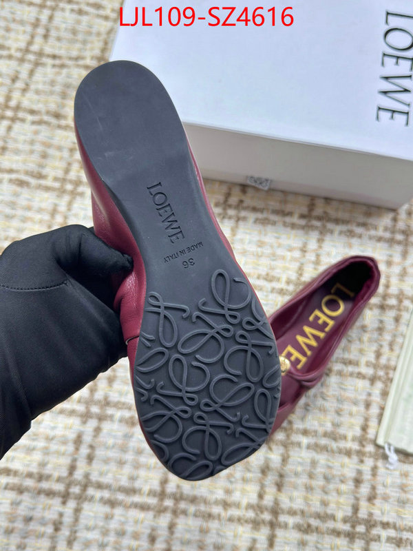 Women Shoes-Loewe best ID: SZ4616 $: 109USD