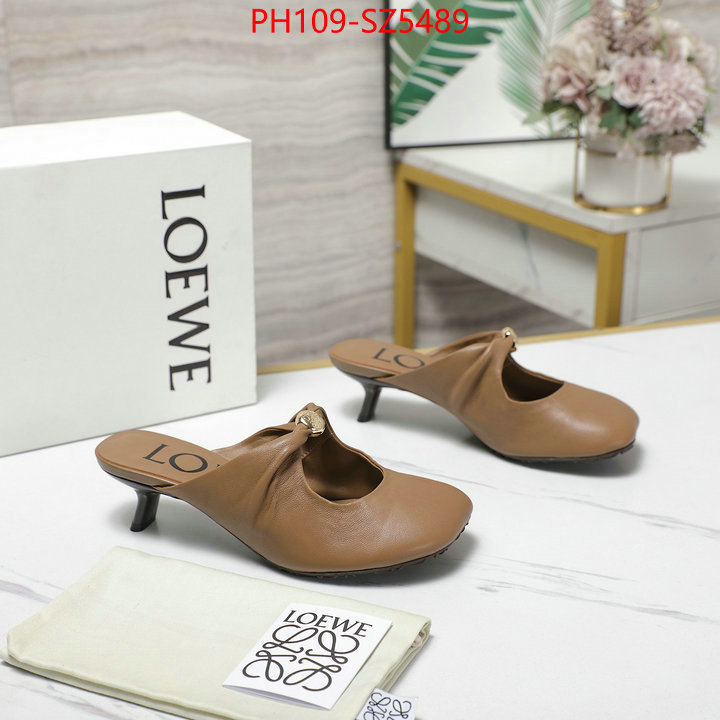 Women Shoes-Loewe best fake ID: SZ5489 $: 109USD
