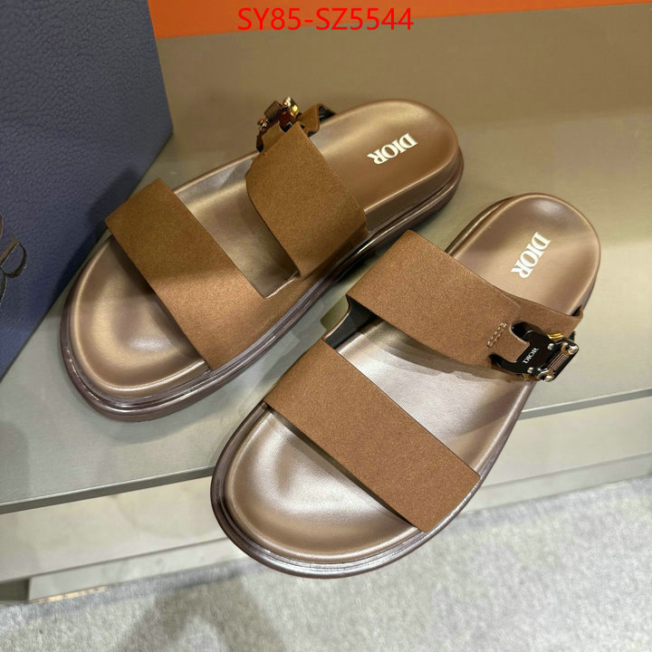 Men shoes-Dior copy aaaaa ID: SZ5544 $: 85USD