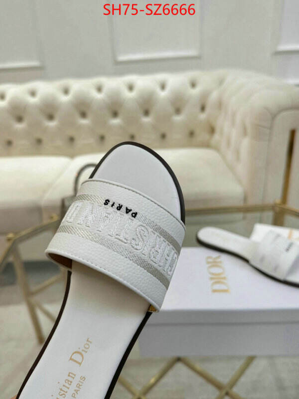 Women Shoes-Dior can you buy replica ID: SZ6666 $: 75USD