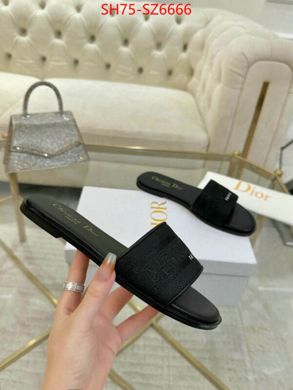 Women Shoes-Dior can you buy replica ID: SZ6666 $: 75USD