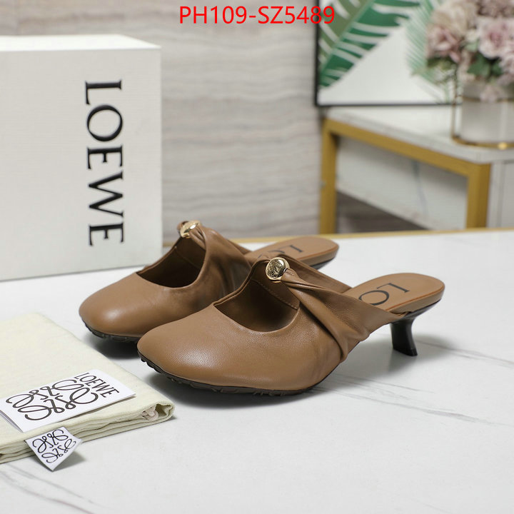 Women Shoes-Loewe best fake ID: SZ5489 $: 109USD