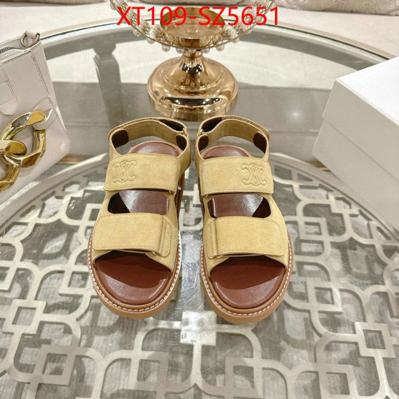 Women Shoes-CELINE top fake designer ID: SZ5651 $: 109USD