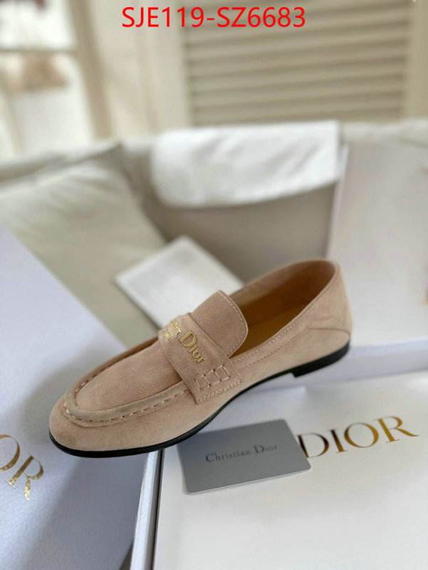 Women Shoes-Dior online shop ID: SZ6683 $: 119USD
