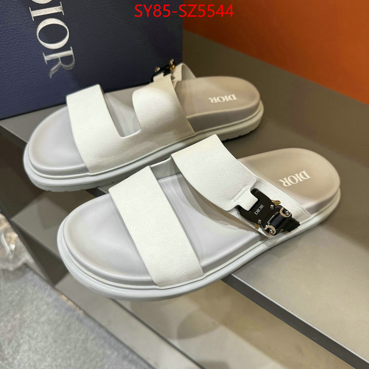Men shoes-Dior copy aaaaa ID: SZ5544 $: 85USD