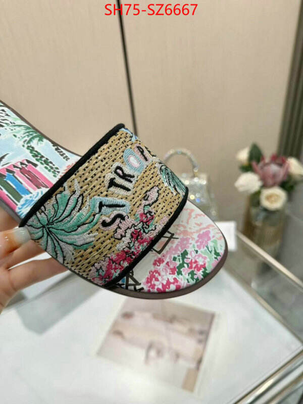 Women Shoes-Dior sale outlet online ID: SZ6667 $: 75USD