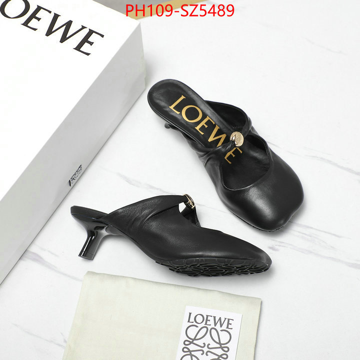 Women Shoes-Loewe best fake ID: SZ5489 $: 109USD