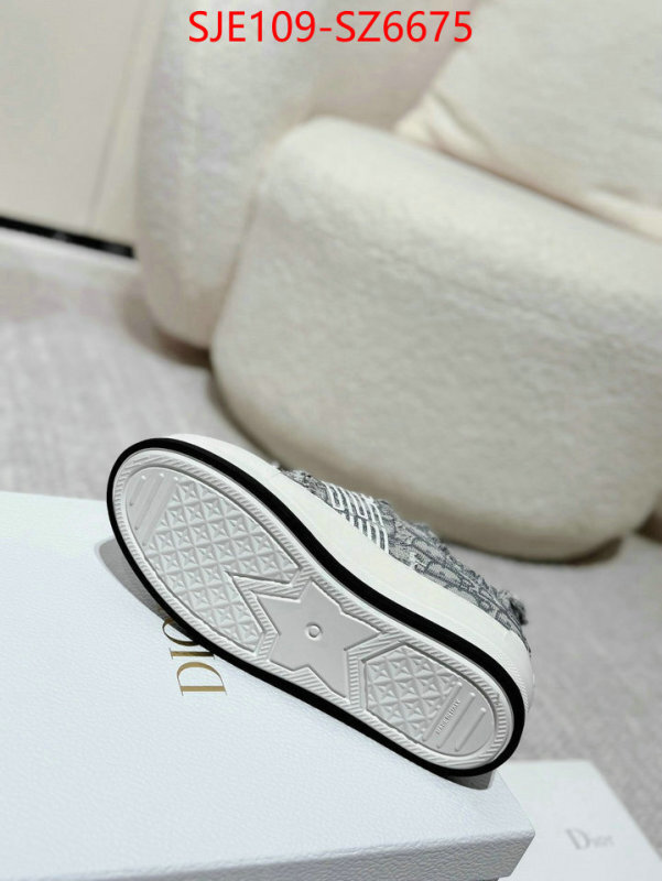 Women Shoes-Dior mirror copy luxury ID: SZ6675 $: 109USD