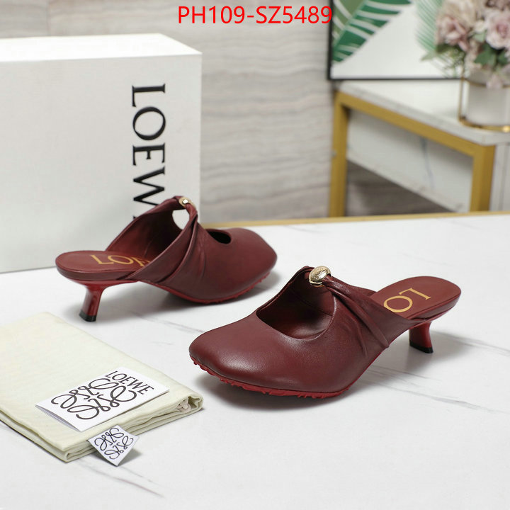 Women Shoes-Loewe best fake ID: SZ5489 $: 109USD