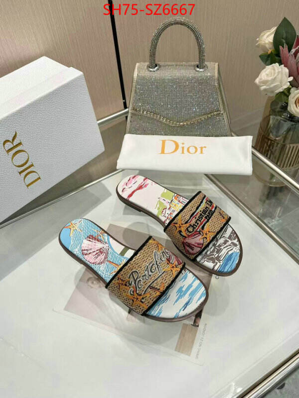 Women Shoes-Dior sale outlet online ID: SZ6667 $: 75USD