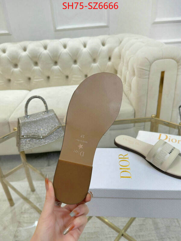 Women Shoes-Dior can you buy replica ID: SZ6666 $: 75USD