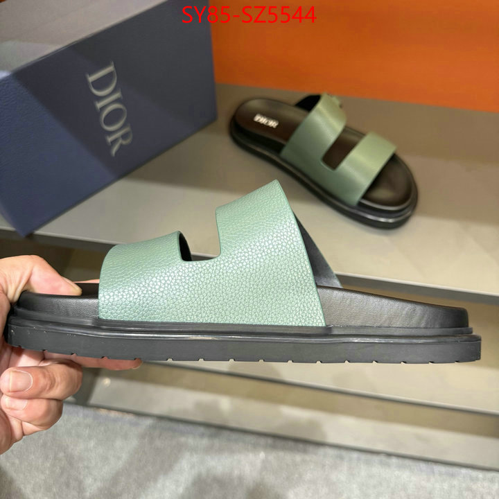 Men shoes-Dior copy aaaaa ID: SZ5544 $: 85USD