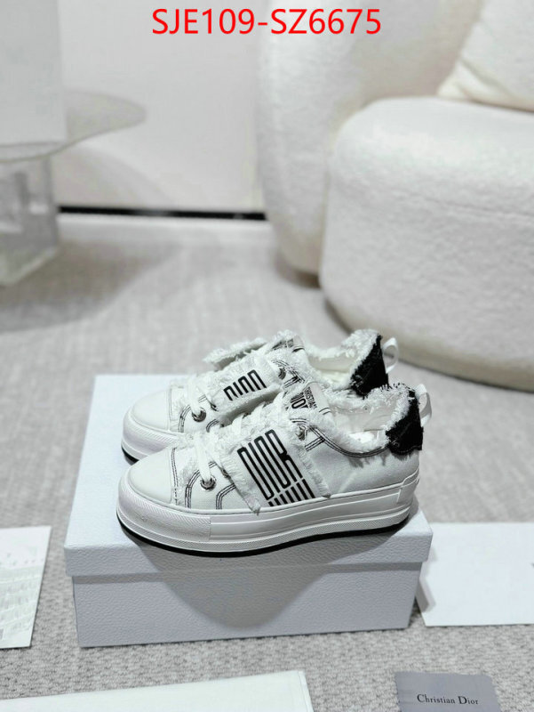 Women Shoes-Dior mirror copy luxury ID: SZ6675 $: 109USD
