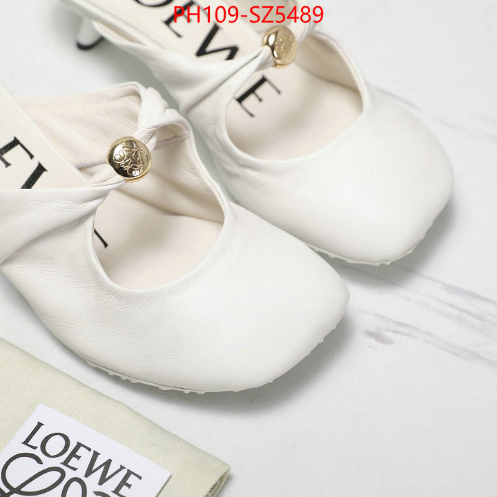 Women Shoes-Loewe best fake ID: SZ5489 $: 109USD