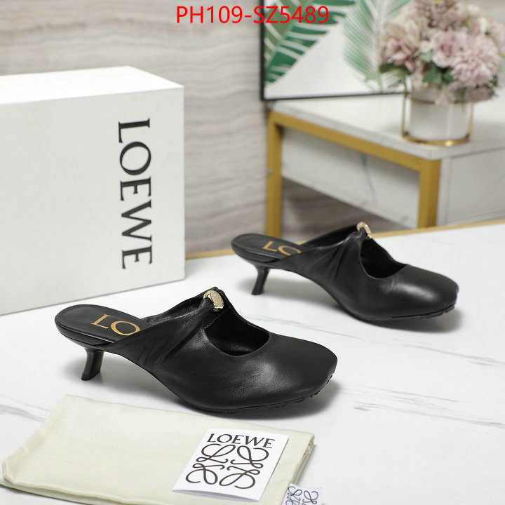 Women Shoes-Loewe best fake ID: SZ5489 $: 109USD