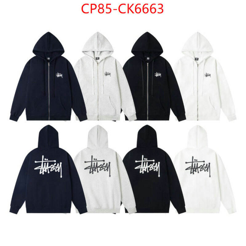 Clothing-Stussy wholesale china ID: CK6663 $: 85USD