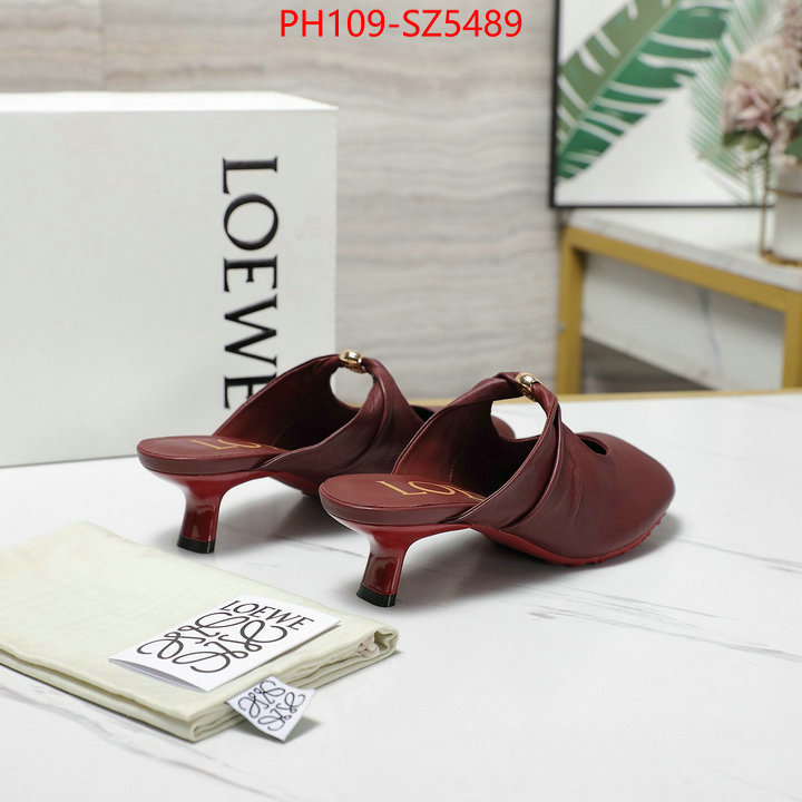 Women Shoes-Loewe best fake ID: SZ5489 $: 109USD