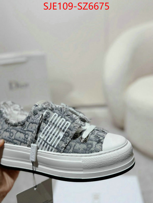 Women Shoes-Dior mirror copy luxury ID: SZ6675 $: 109USD