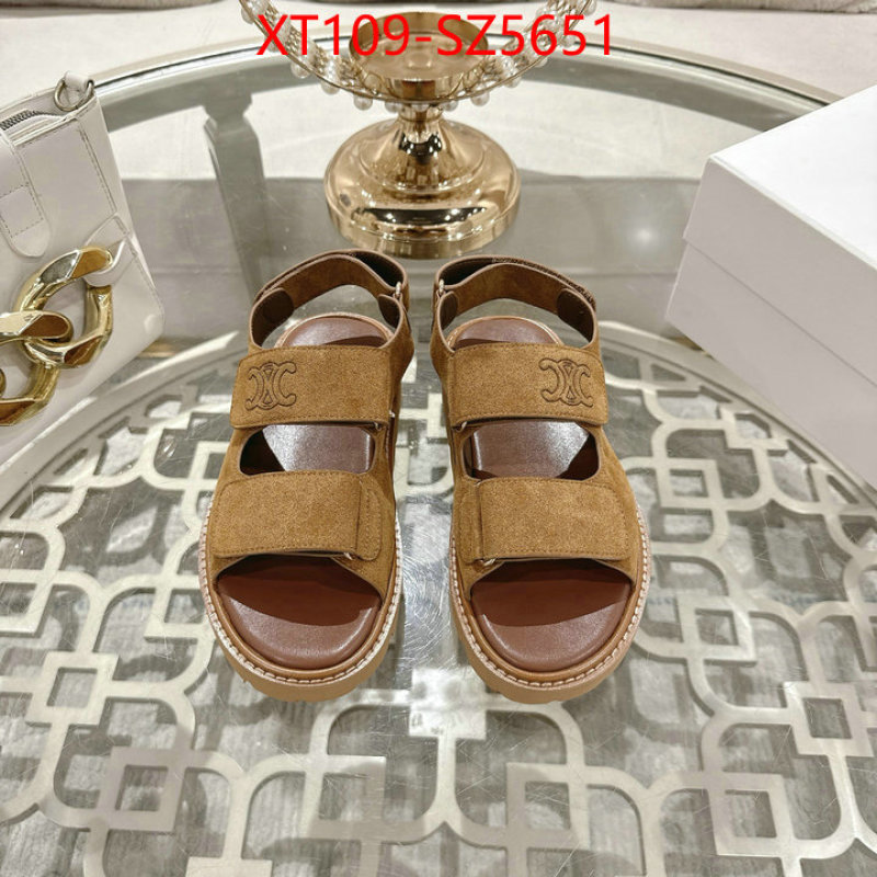 Women Shoes-CELINE top fake designer ID: SZ5651 $: 109USD
