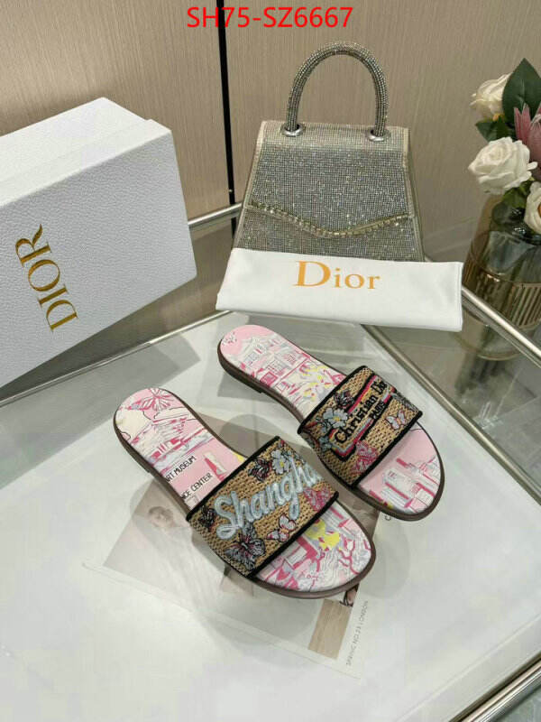Women Shoes-Dior sale outlet online ID: SZ6667 $: 75USD