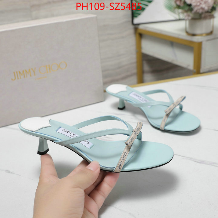 Women Shoes-Jimmy Choo shop the best high authentic quality replica ID: SZ5485 $: 109USD