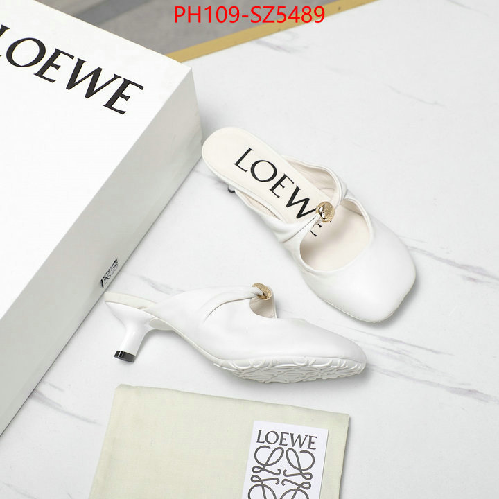 Women Shoes-Loewe best fake ID: SZ5489 $: 109USD