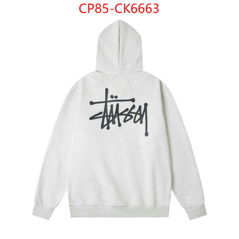 Clothing-Stussy wholesale china ID: CK6663 $: 85USD