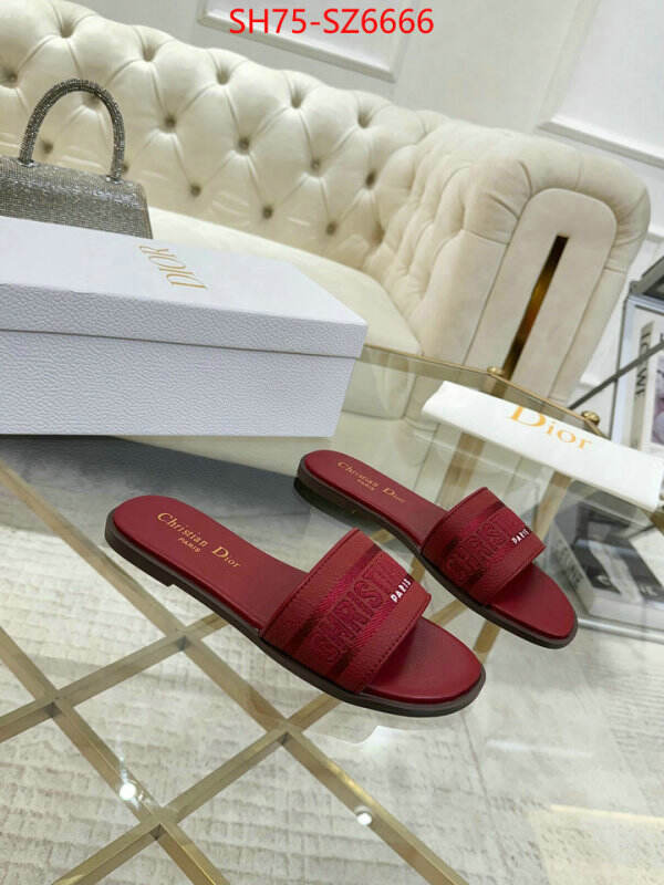 Women Shoes-Dior can you buy replica ID: SZ6666 $: 75USD