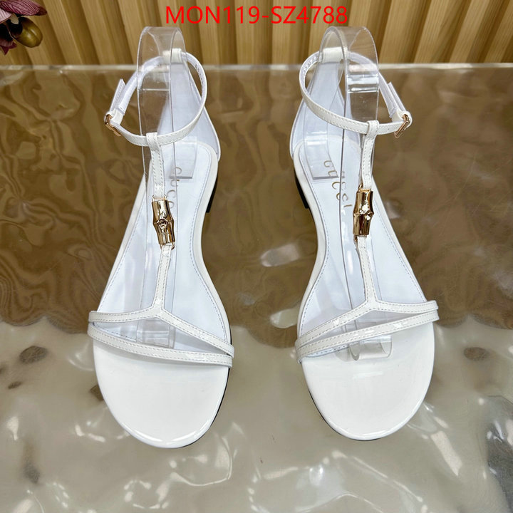 Women Shoes-Gucci 2024 luxury replicas ID: SZ4788 $: 119USD