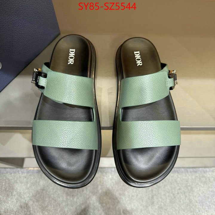 Men shoes-Dior copy aaaaa ID: SZ5544 $: 85USD