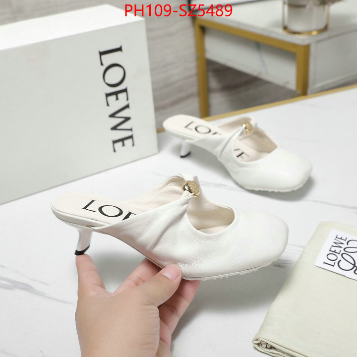 Women Shoes-Loewe best fake ID: SZ5489 $: 109USD