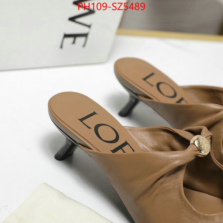 Women Shoes-Loewe best fake ID: SZ5489 $: 109USD