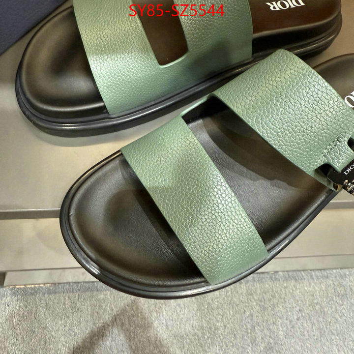 Men shoes-Dior copy aaaaa ID: SZ5544 $: 85USD