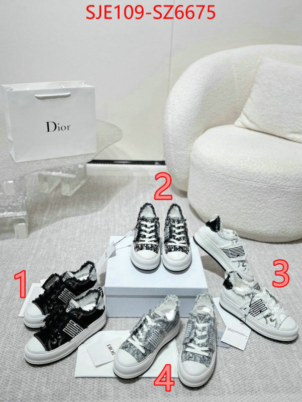 Women Shoes-Dior mirror copy luxury ID: SZ6675 $: 109USD