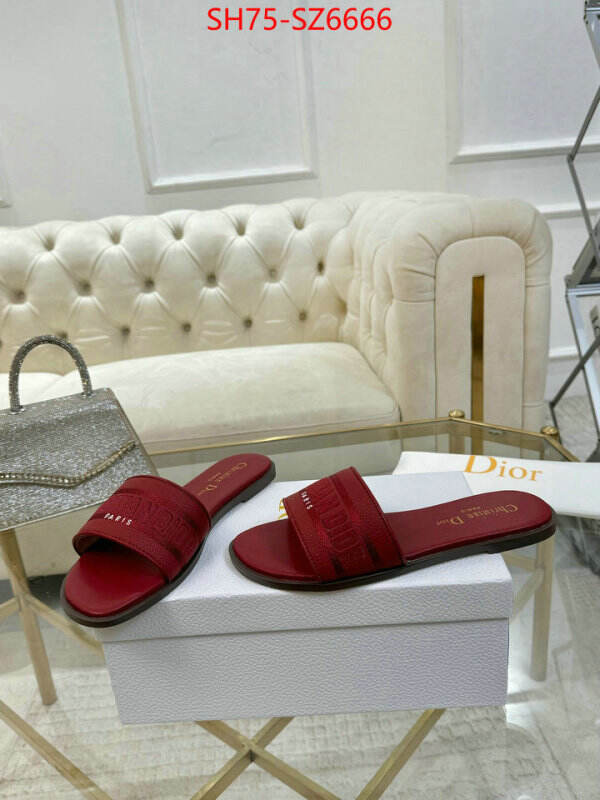 Women Shoes-Dior can you buy replica ID: SZ6666 $: 75USD